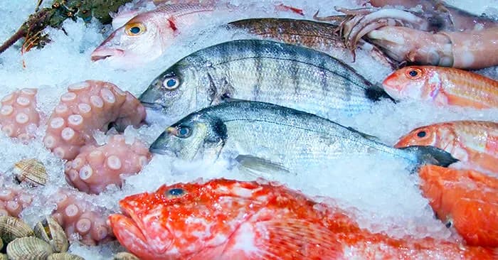 Dolphin Market fish counter