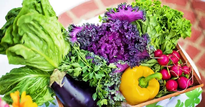 Obst & Gemüse - Dolphin Market München